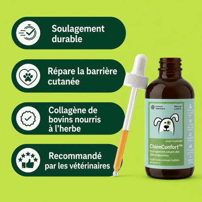 ChienConfort ™